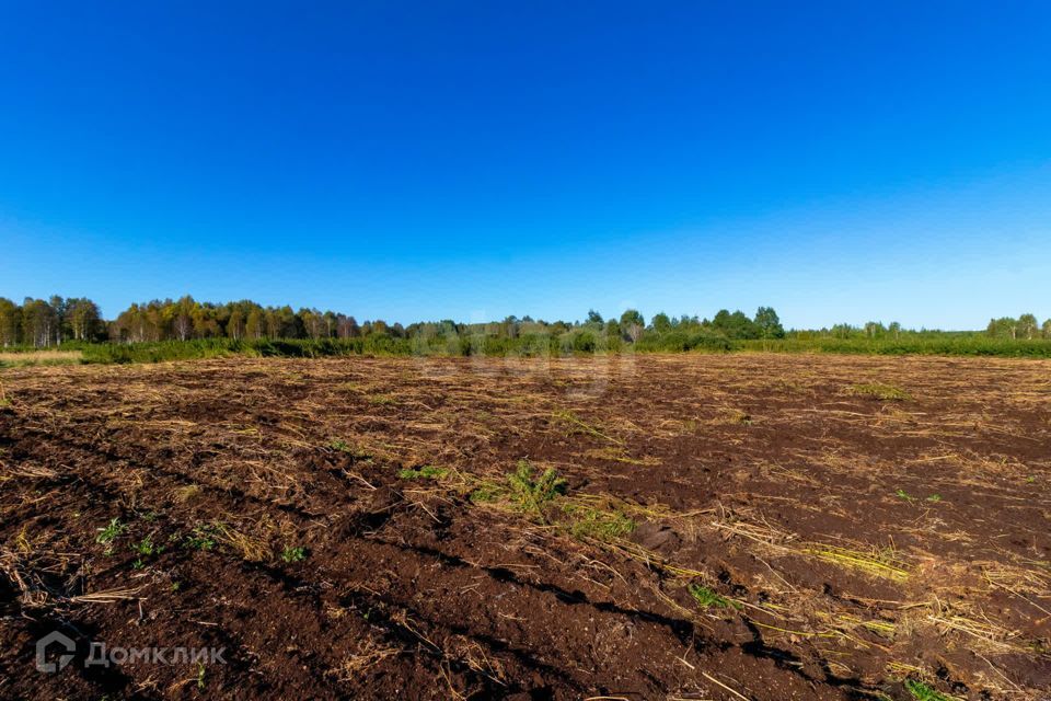 земля г Тюмень городской округ Тюмень, СНТ Облепиховое фото 10