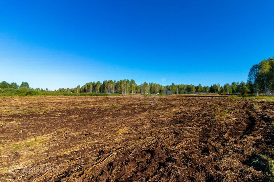 земля г Тюмень городской округ Тюмень, СНТ Облепиховое фото 10