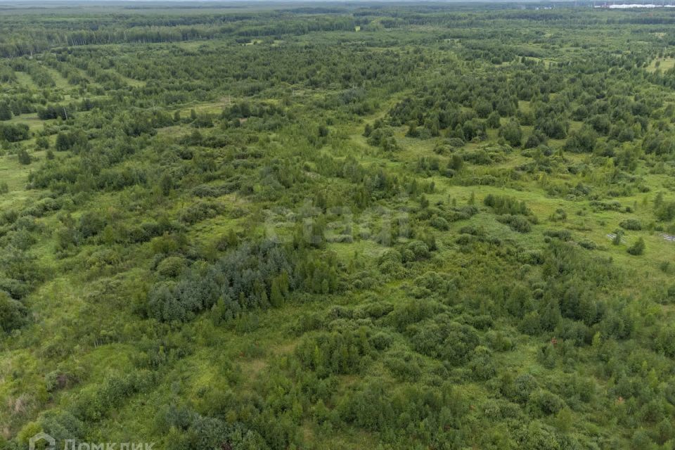 земля р-н Нижнетавдинский фото 9