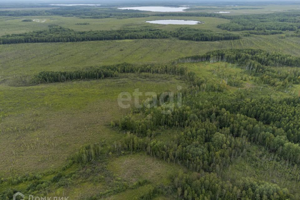 земля р-н Нижнетавдинский фото 10