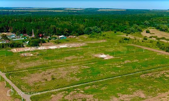 Республика Татарстан Татарстан, Дачное фото