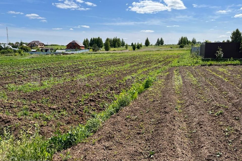 земля р-н Пестречинский с Ленино-Кокушкино ул Зеленая 4 Республика Татарстан Татарстан фото 3