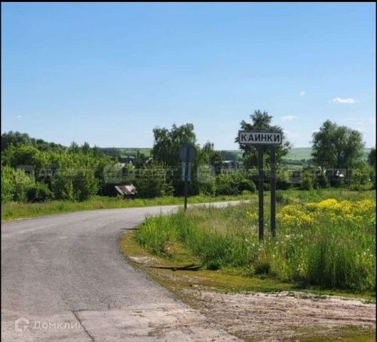 земля д Каинки ул Центральная Республика Татарстан Татарстан фото