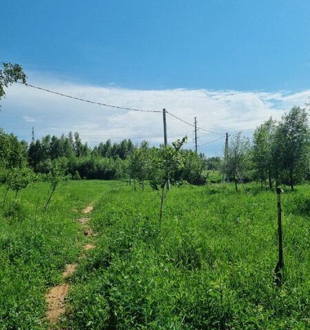 Республика Татарстан Татарстан, Казань городской округ, Приволжский фото