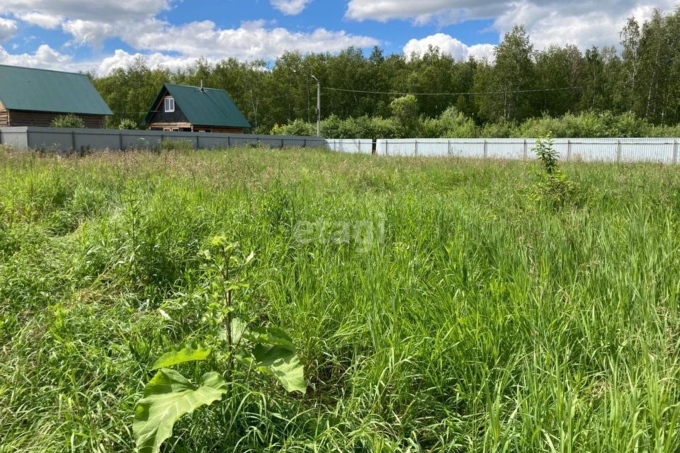 земля р-н Нижнетавдинский снт Сундукульский разрез фото 1