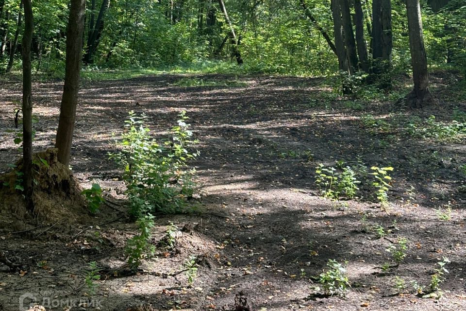 земля р-н Рыбновский село Горяйново фото 4