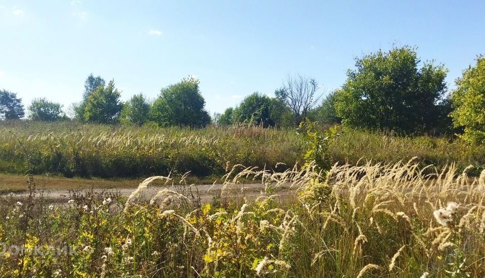 земля р-н Бессоновский село Бессоновка фото 1