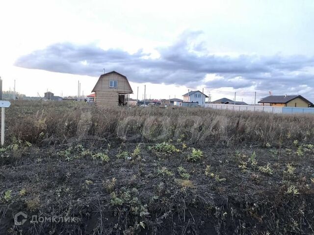 земля фото