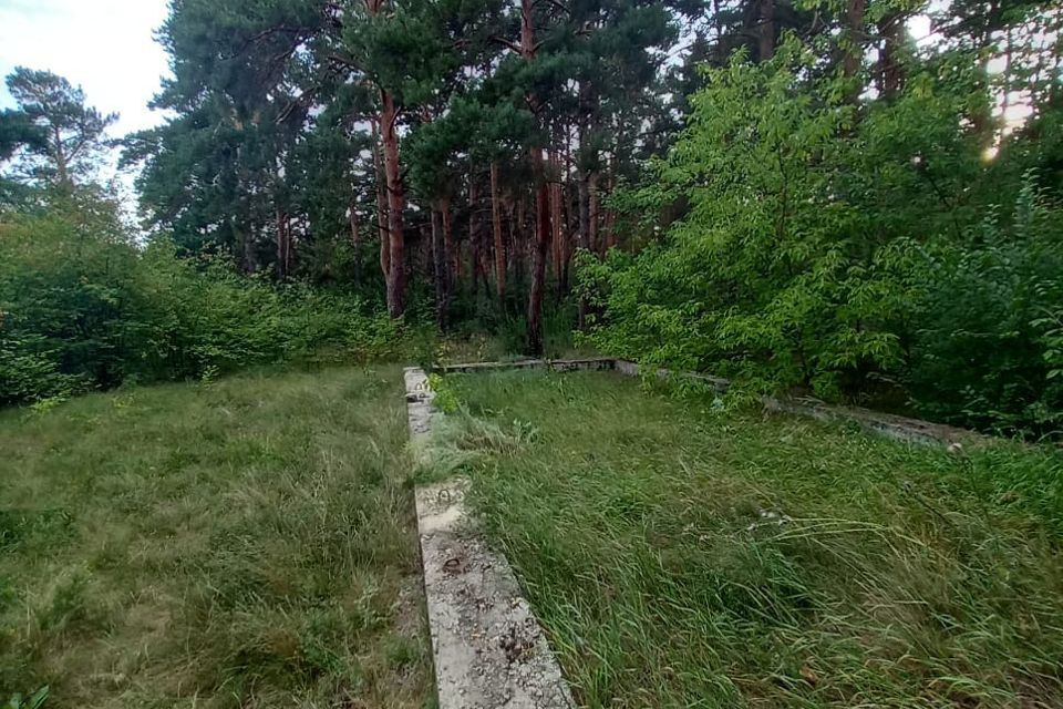 земля р-н Омский Чернолучинский фото 4