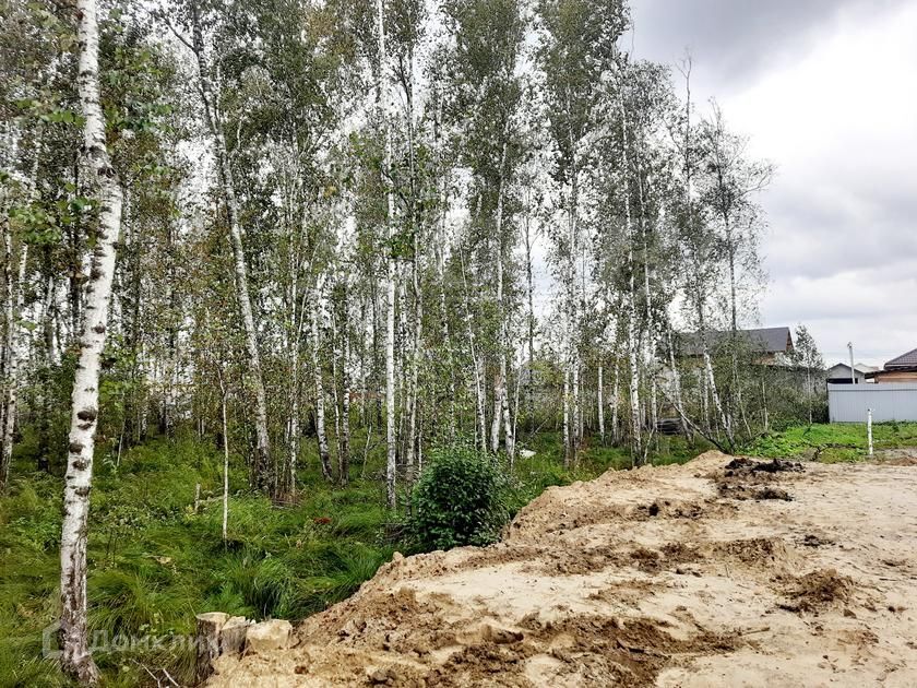 земля р-н Тюменский рабочий посёлок Винзили фото 2