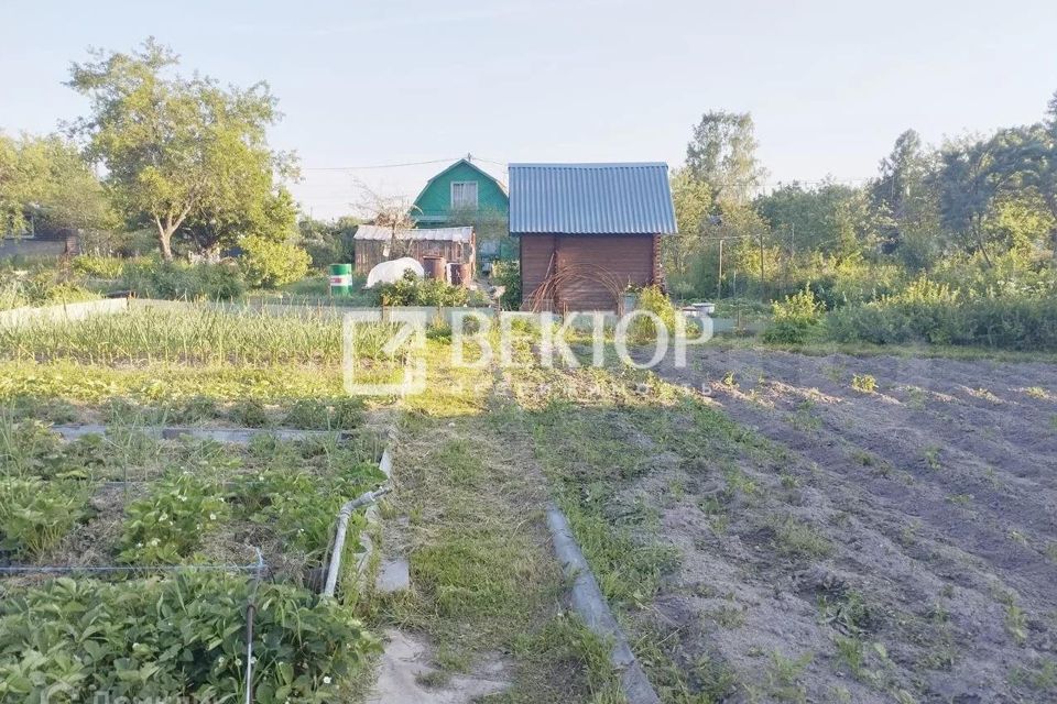 земля г Кострома городской округ Кострома, СНТ Северный фото 2