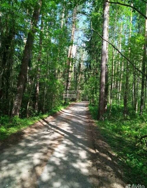 земля р-н Городецкий г Городец улица Зосима Серого фото 3