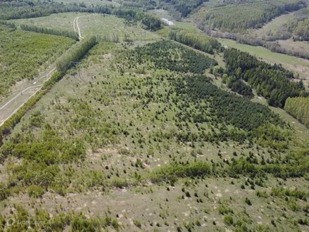 земля р-н Зеленодольский Республика Татарстан Татарстан, село Уразла фото 8