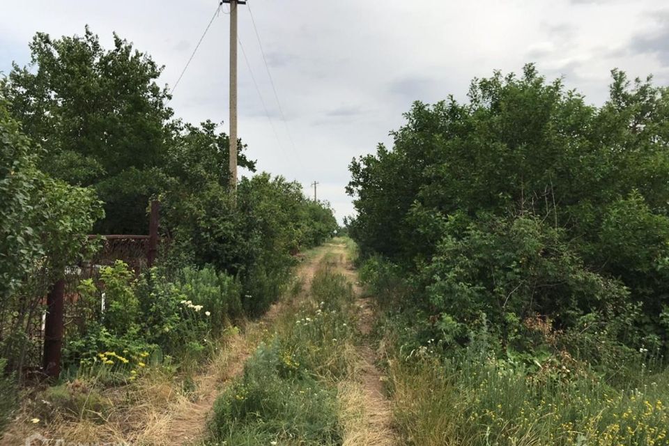 земля р-н Родионово-Несветайский х Октябрьский ул Заречная 34 фото 2