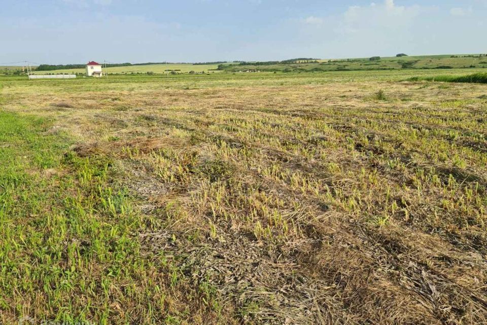 земля р-н Родионово-Несветайский село Генеральское фото 1