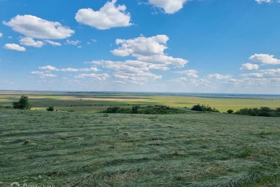 земля р-н Азовский х Новоалександровка тер. ДНТ Удача 3а фото 1