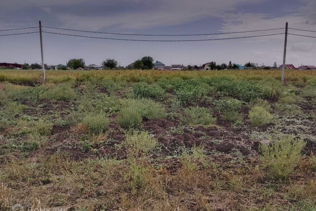 село Киевское фото