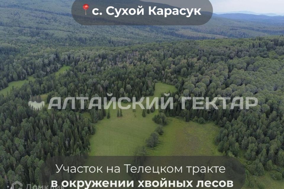 земля р-н Чойский Сухой Карасук фото 1