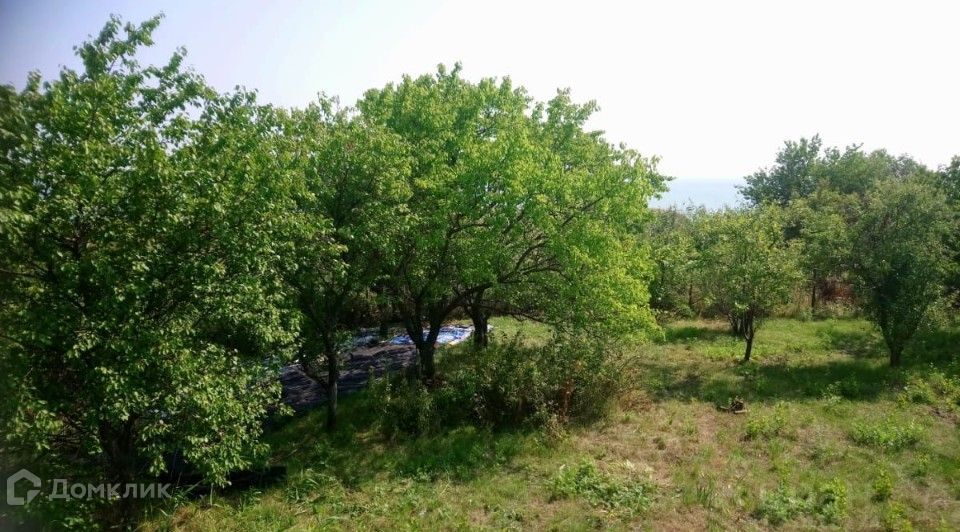 земля р-н Неклиновский х Мержаново СНТ Голубые Ели фото 2