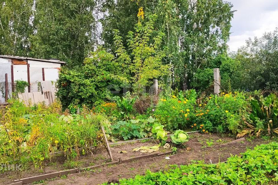 земля г Челябинск городской округ Челябинск, СНТ Дружба Тракторозаводский район фото 3