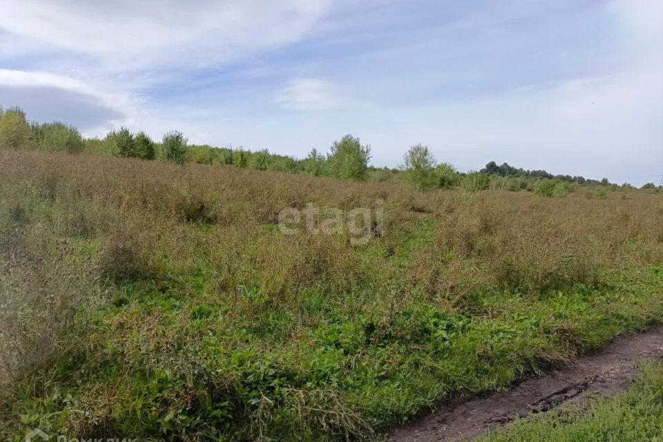 земля р-н Алтайский село Ая фото 1