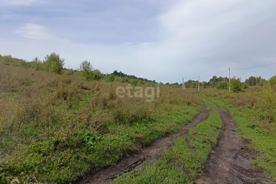 земля р-н Алтайский село Ая фото 3