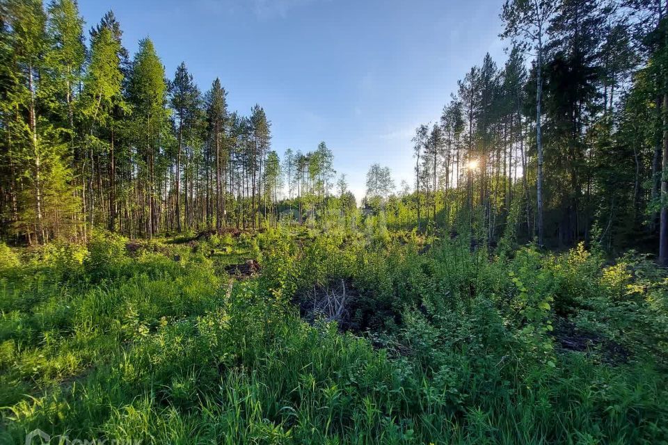 земля г Сыктывкар пгт Верхняя Максаковка ул 2-я Белоборская городской округ Сыктывкар фото 3