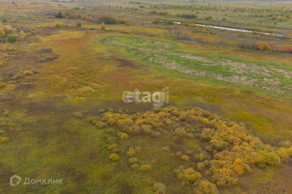 земля р-н Тюменский село Борки фото 2