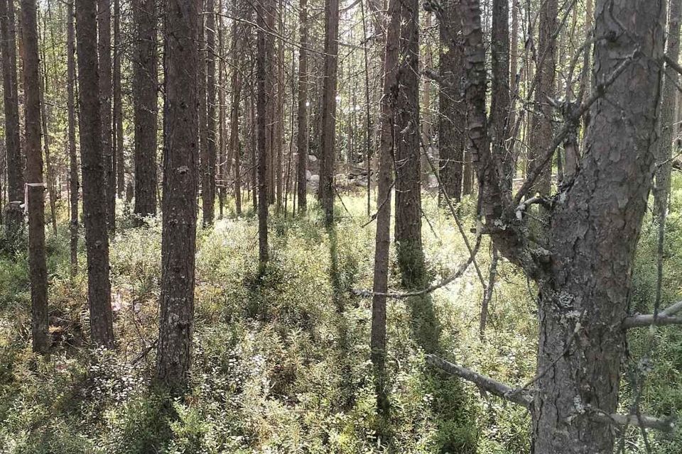 земля р-н Кольский посёлок городского типа Верхнетуломский фото 3