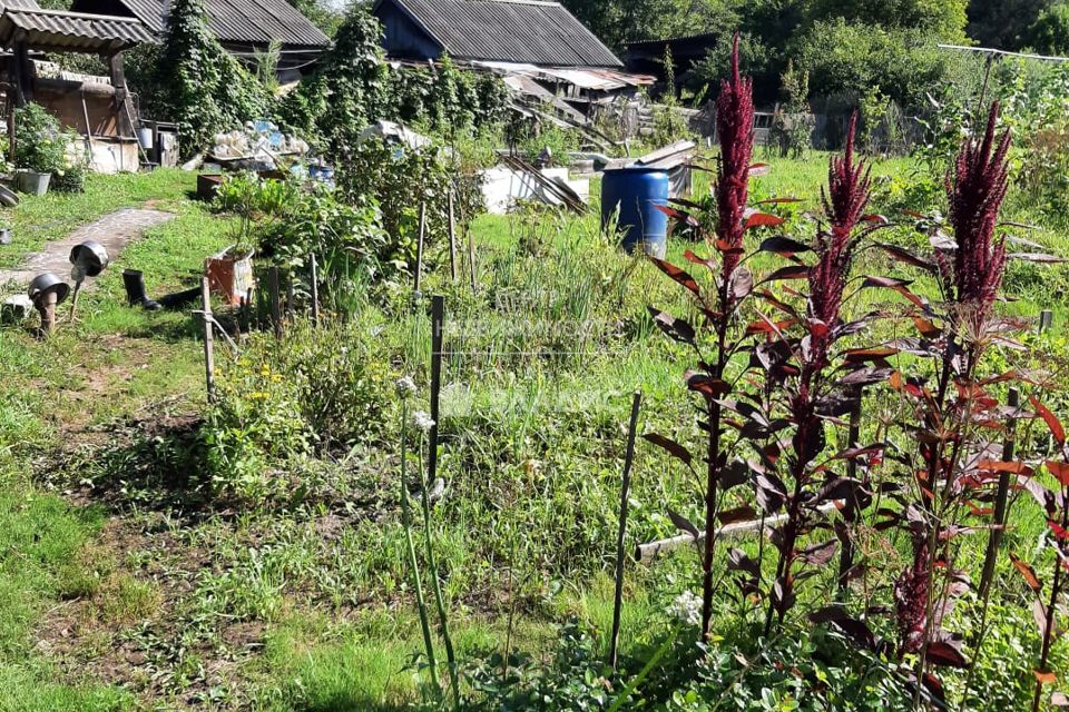 дом р-н Анучинский село Старогордеевка фото 1