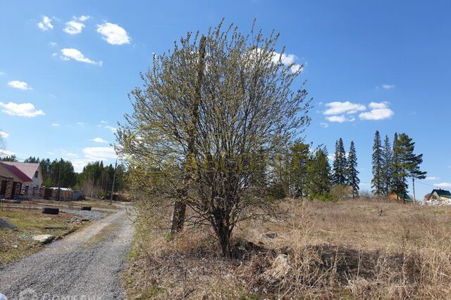 ул Сельская городской округ Ревда фото