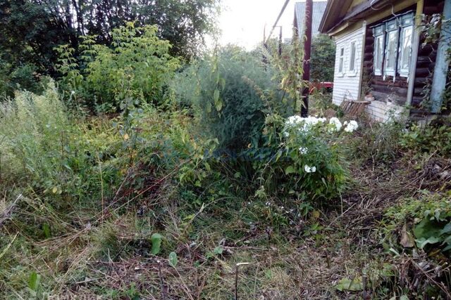 городской округ Бор, село Ямново, Садовая улица, 29 фото