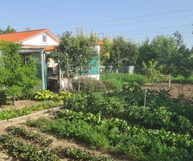 дом р-н Кировский с Синицыно ул Советская фото 1