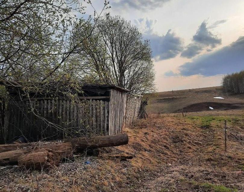 земля р-н Чебоксарский д Чермаки ул Прямая фото 4