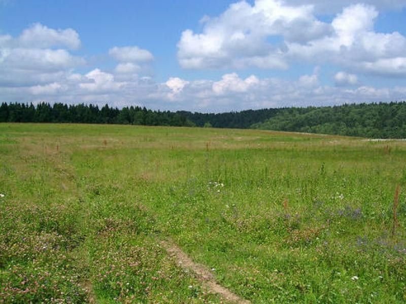 земля р-н Туймазинский село Райманово фото 1