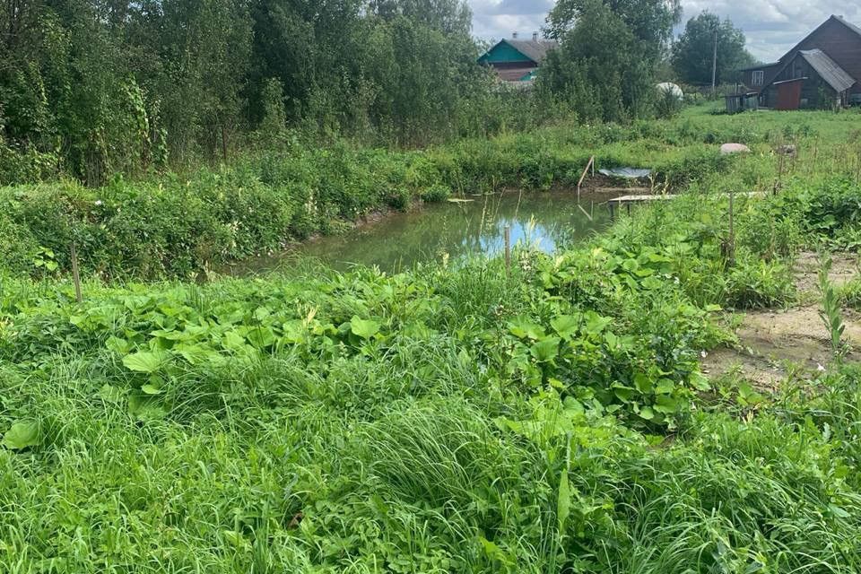 дом р-н Плюсский Заполье гп Заплюсье фото 4