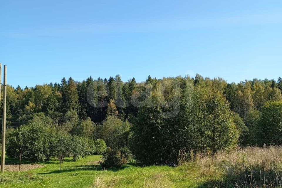 земля р-н Грязовецкий с Минькино ул Школьная фото 8