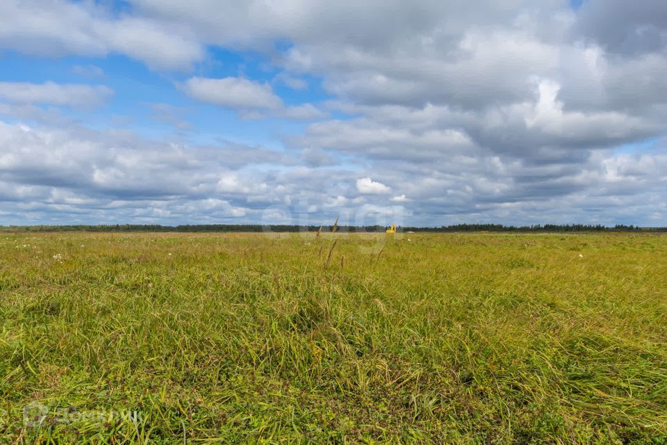 земля г Тюмень городской округ Тюмень, микрорайон Мыс фото 9