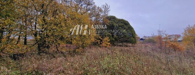 дачный посёлок Даниловский фото