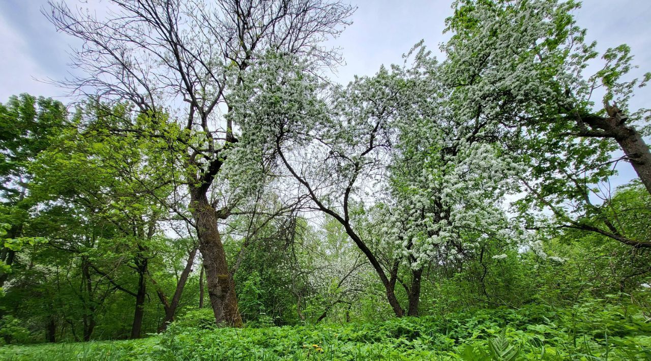 земля г Петергоф ул Мечникова р-н Петродворцовый фото 4