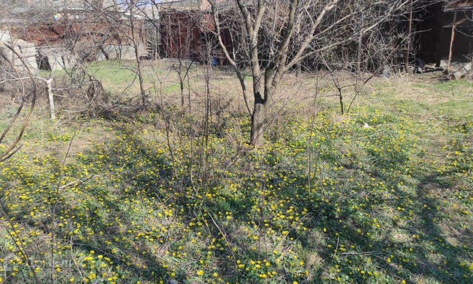 земля р-н Сальский х Маяк городской округ Ростов-на-Дону, Каратаева, 72, Красный фото 5