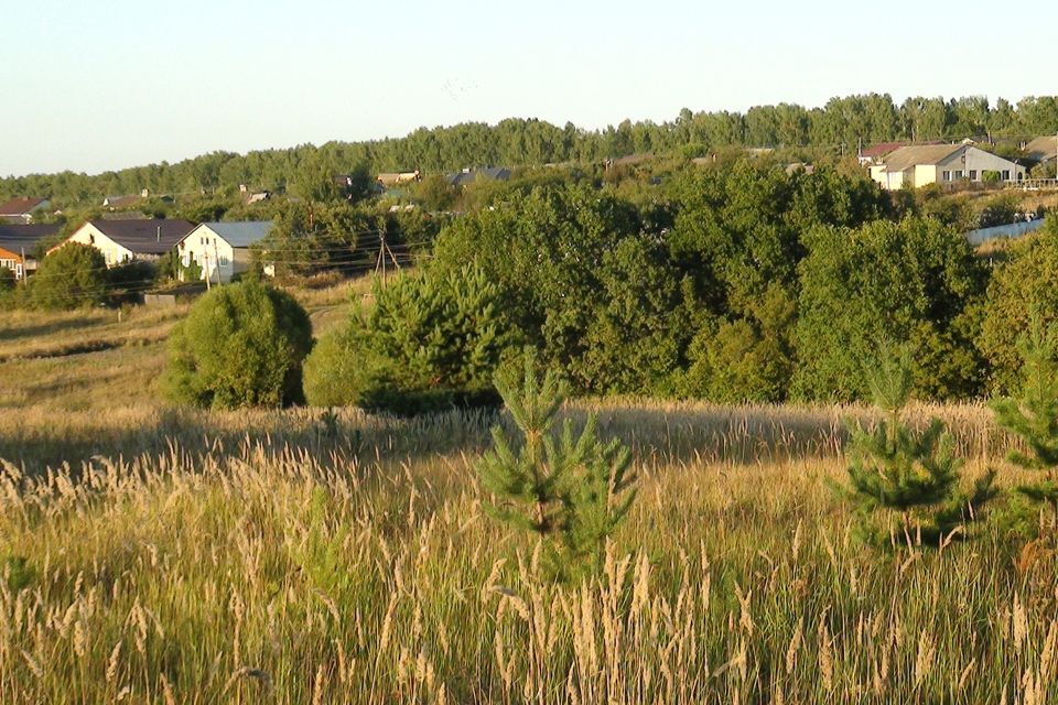 земля р-н Пензенский село Алферьевка фото 10