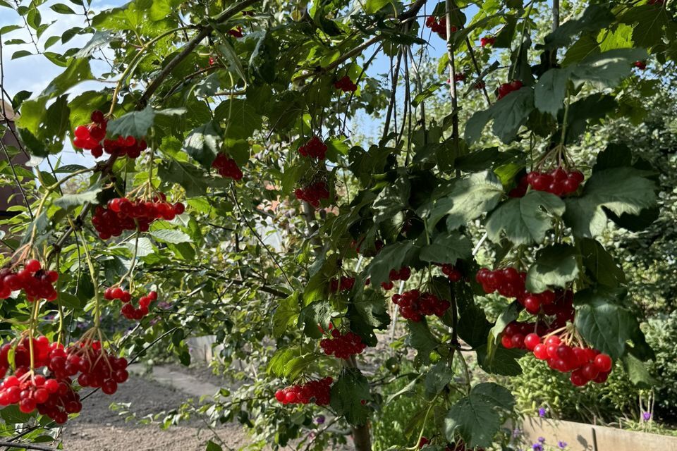 дом городской округ Чебоксары, Чебоксары фото 9