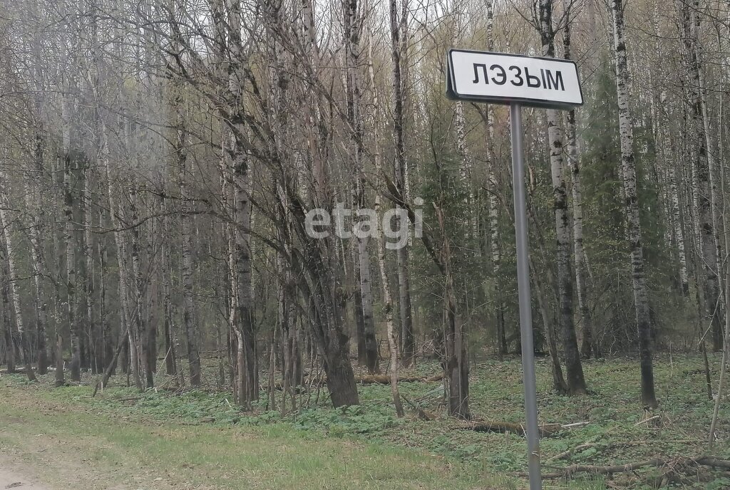 дом р-н Сыктывдинский с Лэзым ул Центральная фото 1