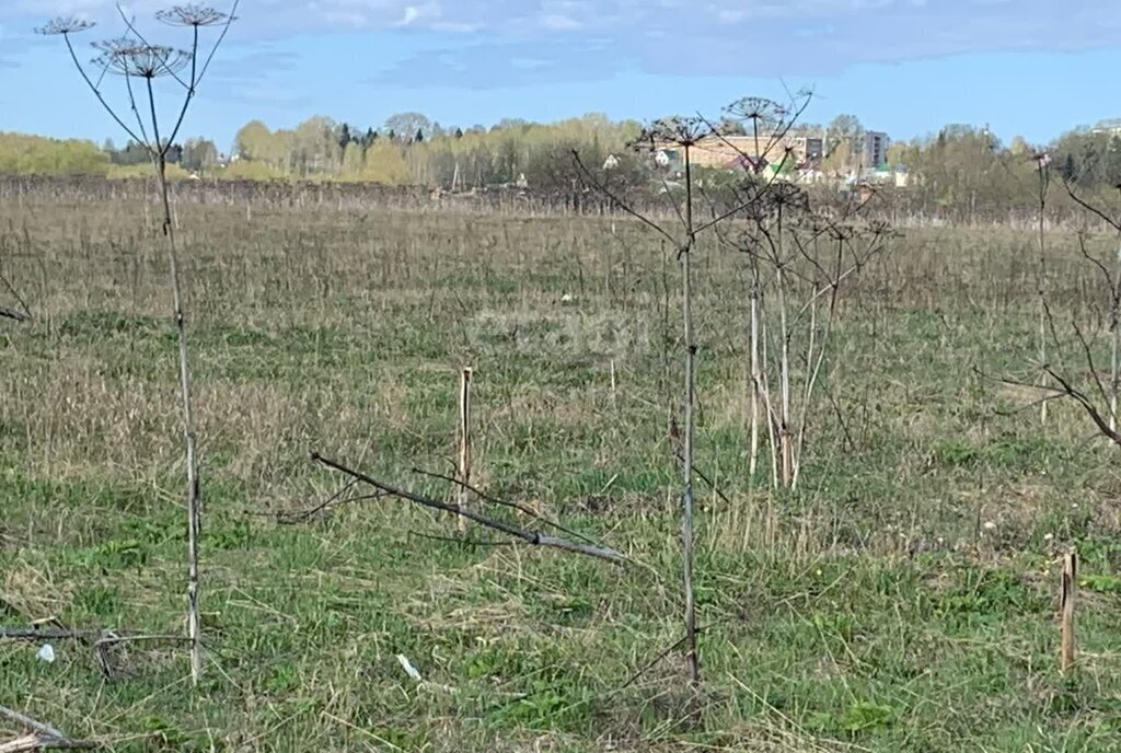 земля р-н Сыктывдинский с Выльгорт муниципальное образование Выльгорт фото 15