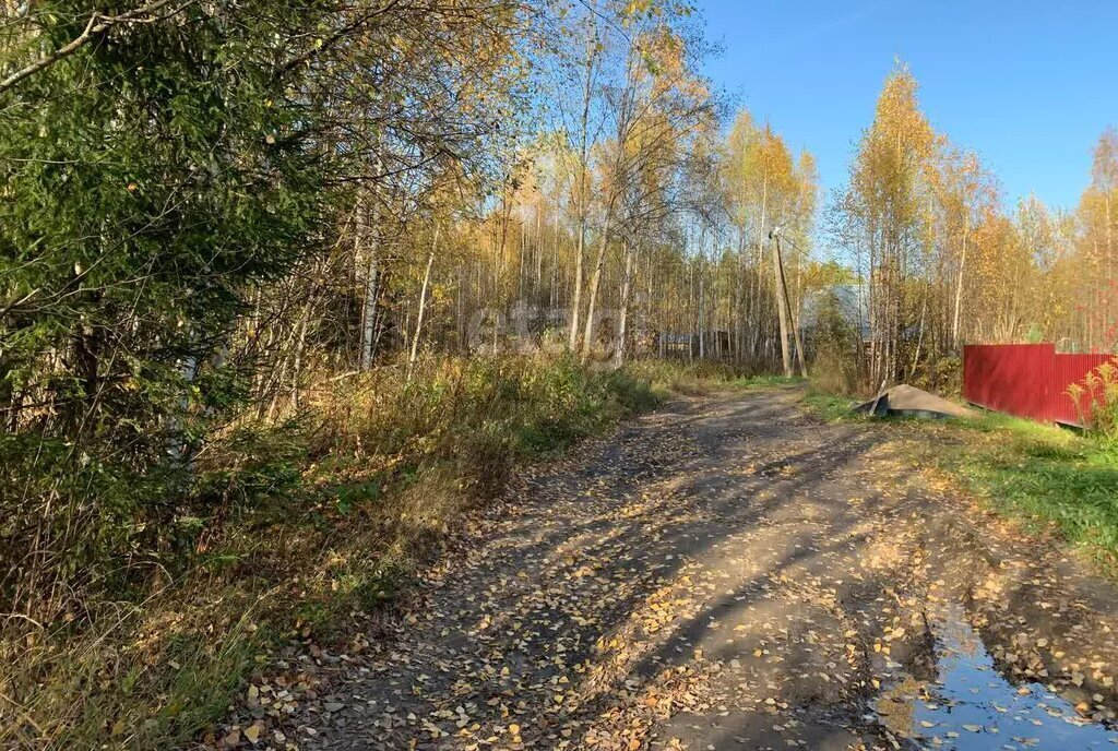 земля р-н Корткеросский д Визябож муниципальное образование Додзь фото 19