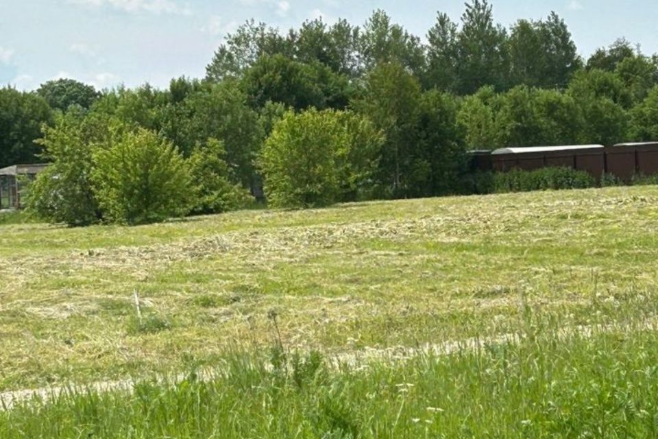 земля городской округ Шаховская деревня Новомихайловское фото 2