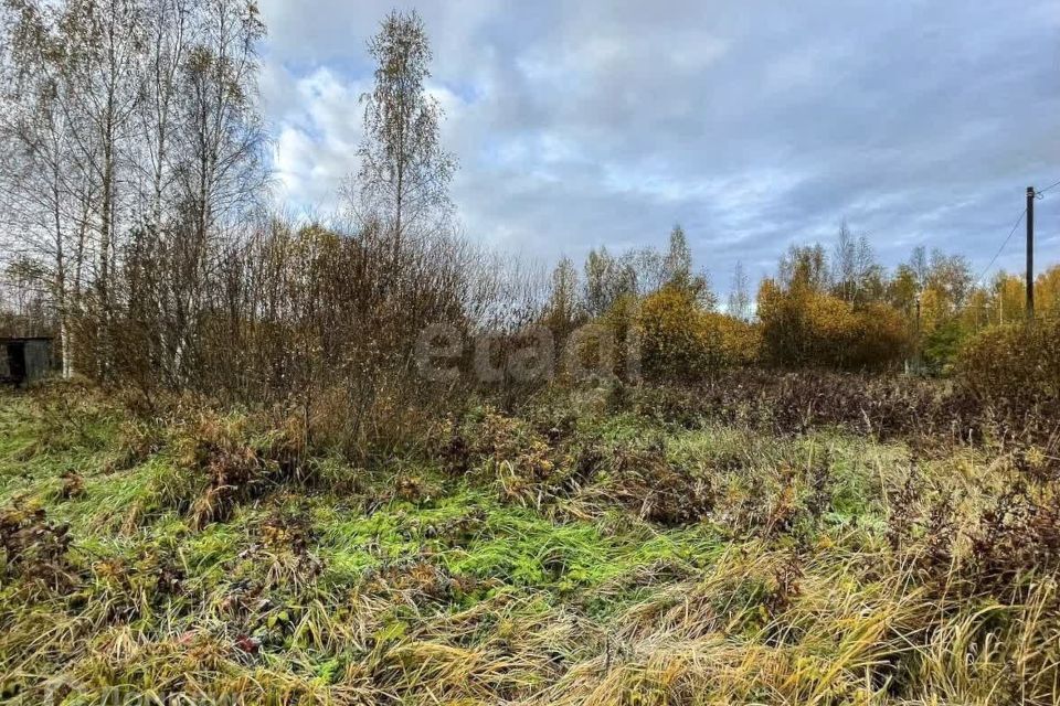 земля р-н Киришский СТ Швейник фото 1