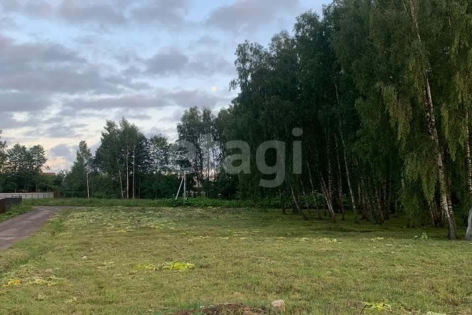 земля г Домодедово д Минаево Карамель, Домодедово городской округ фото 4