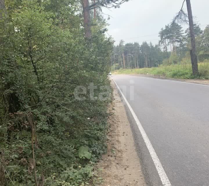 земля 122, Домодедово городской округ, Мирный фото 3